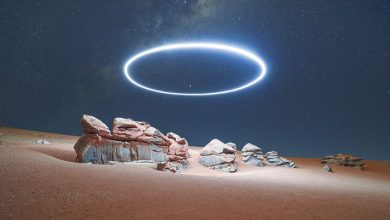 عکسهای عجیب