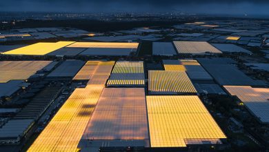 گلخانه های LED