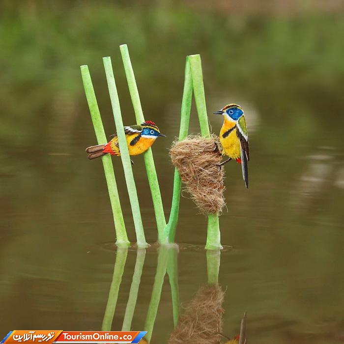 هنر مینیاتوری