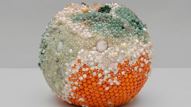 میوه های کپک زده