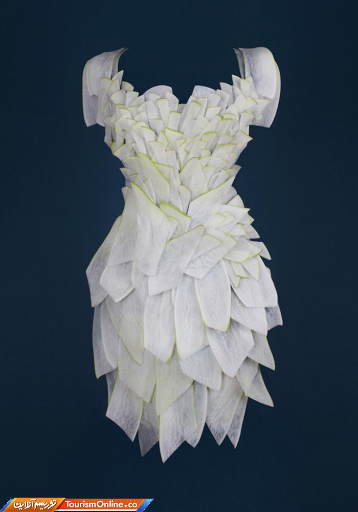 لباسهای خوردنی