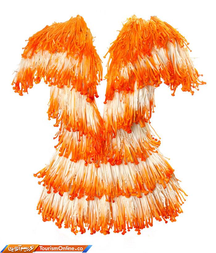 لباسهای خوردنی