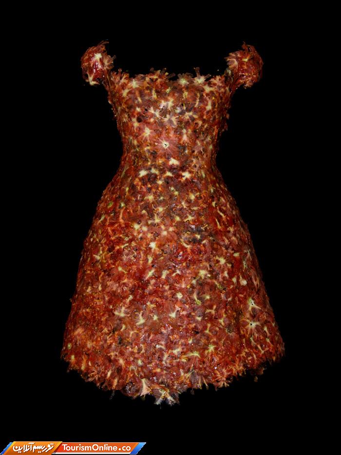 لباسهای خوردنی