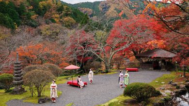 انجمن عکاسان مستقل