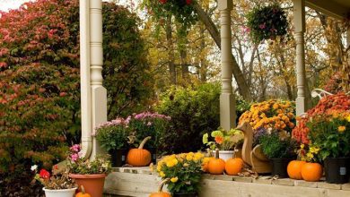 دکوراسیون پاییزی