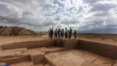 محوطه تاریخی ریوی