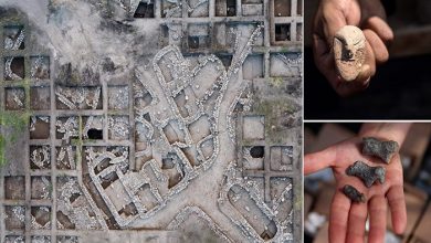 باستان شناس