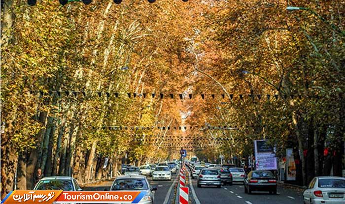 برگهای زرد و نارنجی