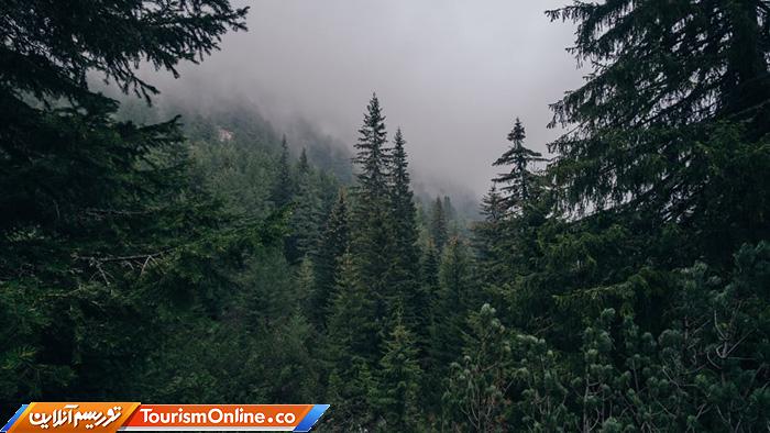 پارک ملی ریلا