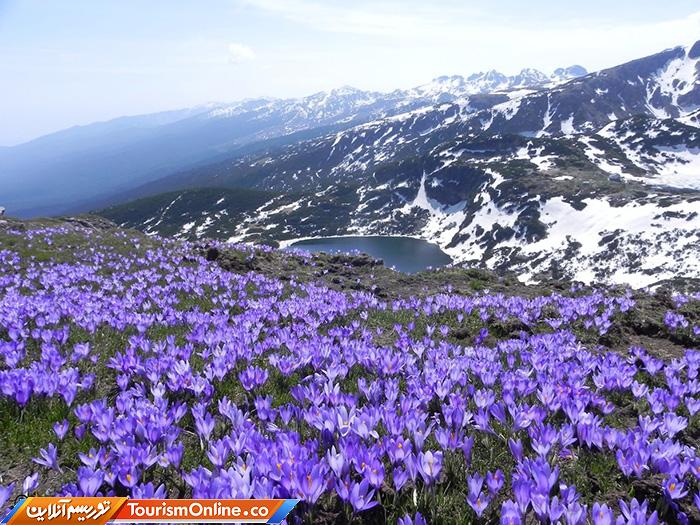 پارک ملی ریلا