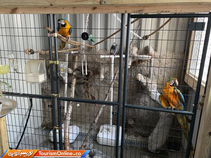 کانتینر حمل و نقل