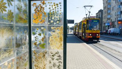 ایستگاه اتوبوس