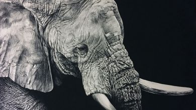نقاشی فیل