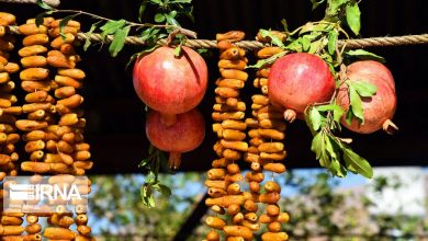 خاوران فارس