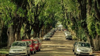 سبزترین خیابان