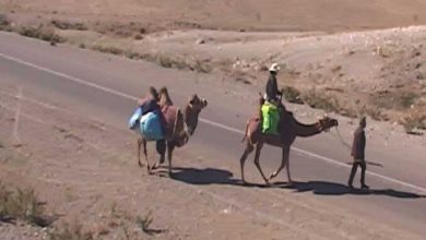 جهانگرد ایرانی