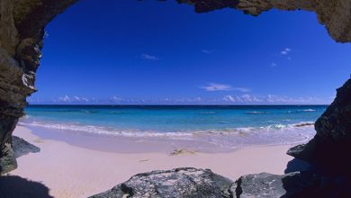 سواحل صورتی