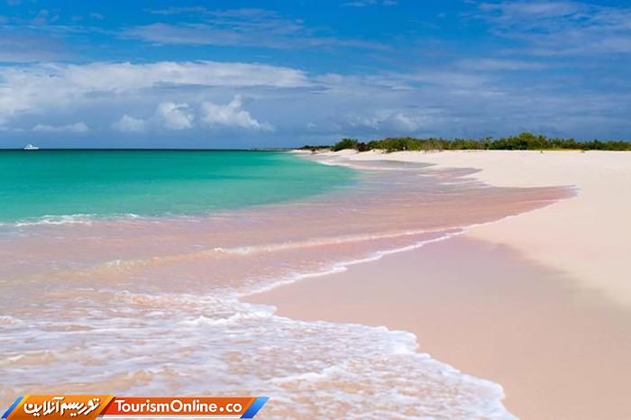 سواحل صورتی