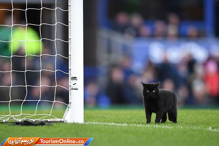 حوادث ورزشی