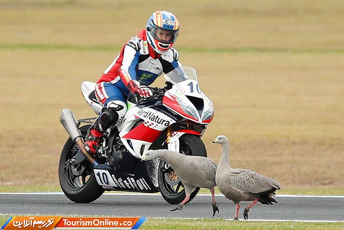 حوادث ورزشی