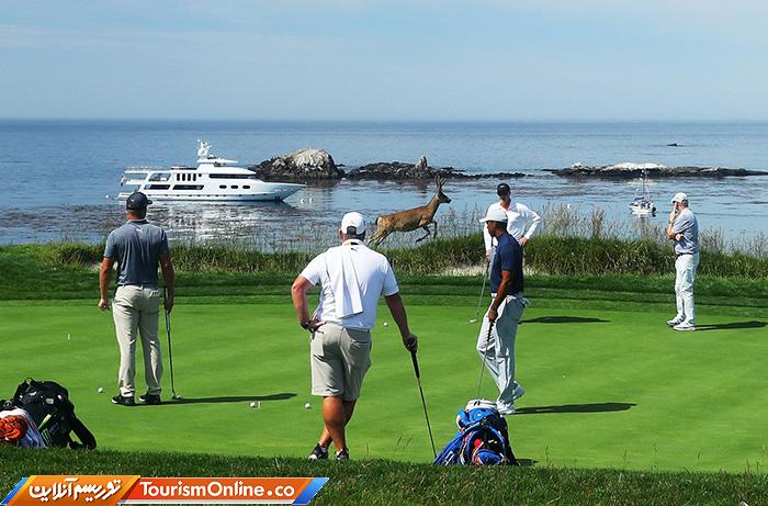 حوادث ورزشی