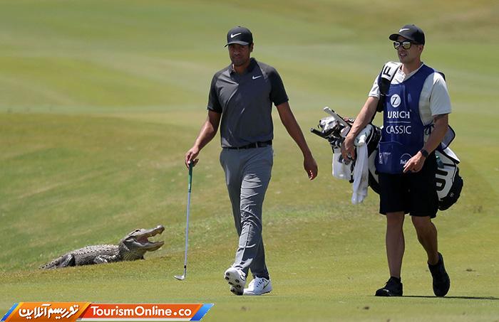 حوادث ورزشی