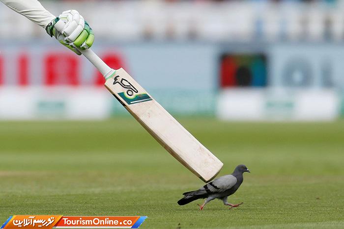 حوادث ورزشی