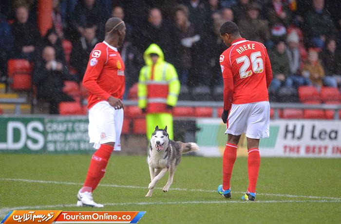 حوادث ورزشی