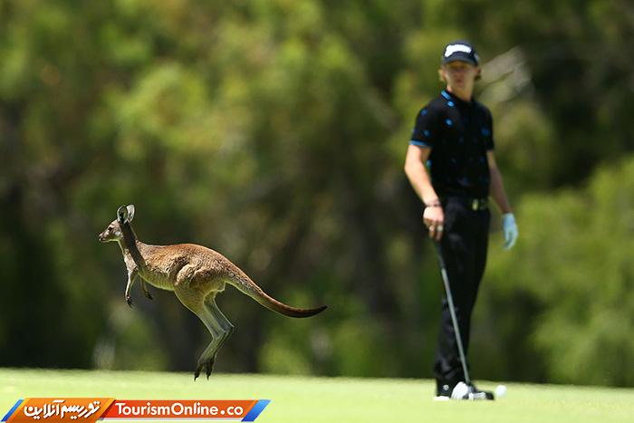 حوادث ورزشی