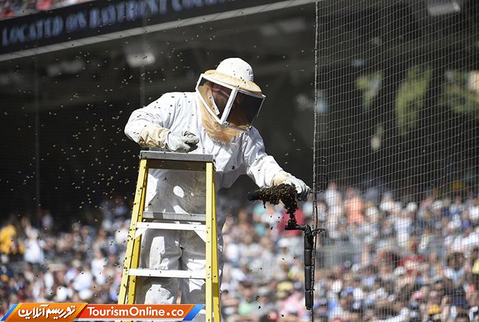 حوادث ورزشی