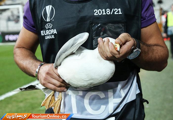 حوادث ورزشی