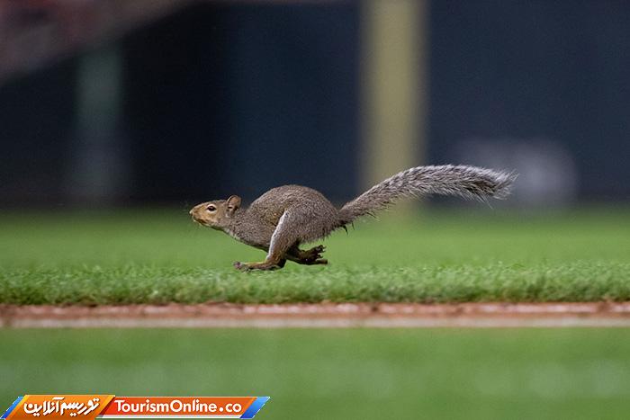 حوادث ورزشی