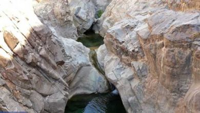 سومین جشنواره