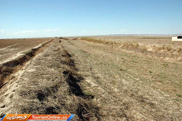 دیوار گرگان