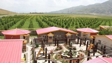 مجتمع گردشگری