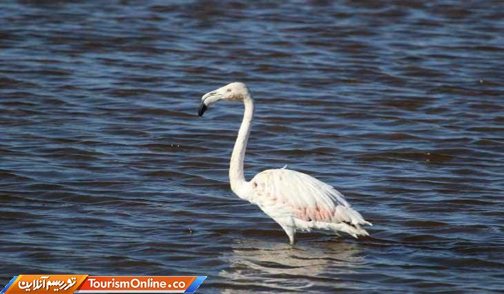 دریاچه نمک حوض سلطان