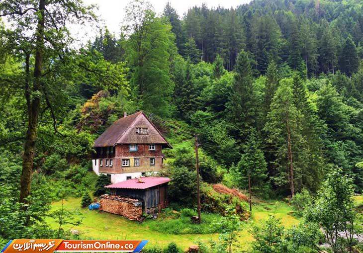 جنگل سیاه آلمان