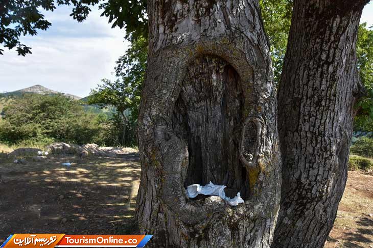 جنگل ابر شاهرود