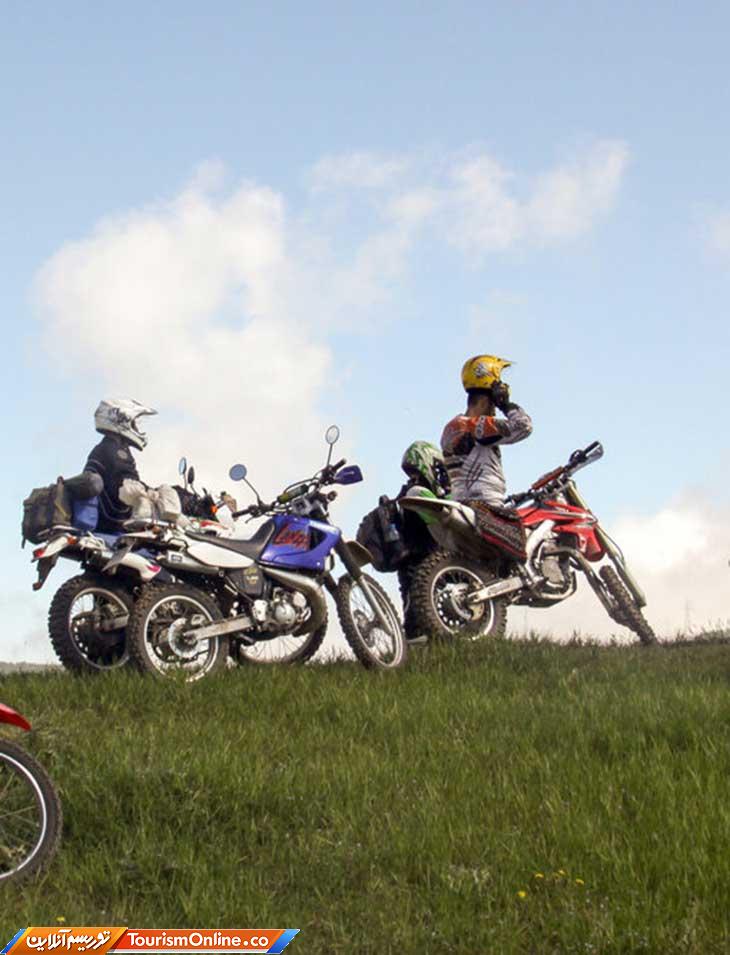 جنگل ابر شاهرود