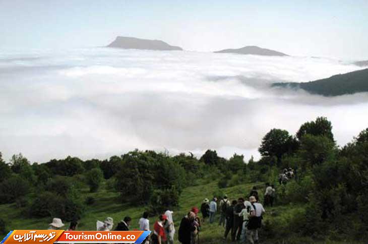 جنگل ابر شاهرود