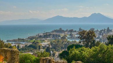 کارتاژ تونس