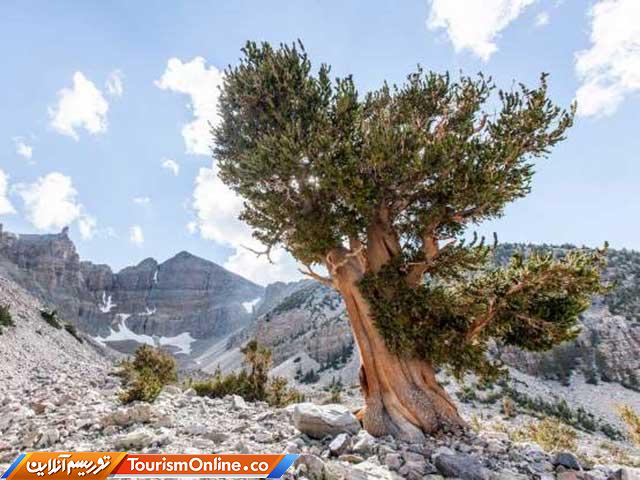 بیابان هایی زیبا و منحصر به فرد در جهان