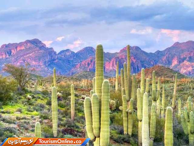 بیابان هایی زیبا و منحصر به فرد در جهان