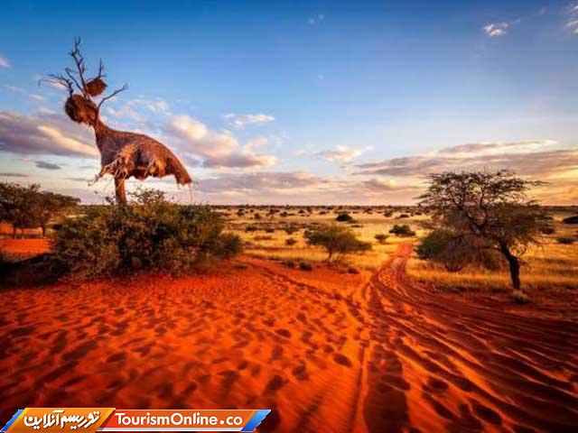 بیابان هایی زیبا و منحصر به فرد در جهان