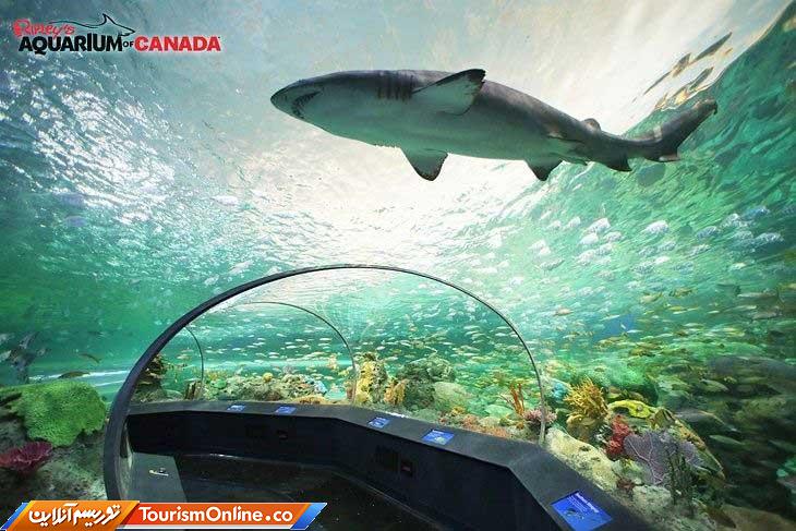 گردشگری تورنتو