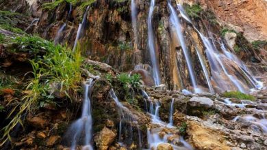 کمیته طبیعت گرد فارس