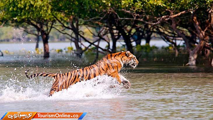 سوندرابانس بنگلاذش