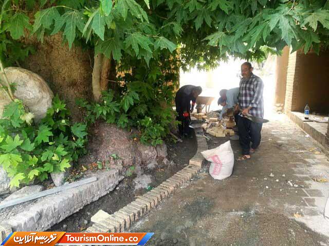 چنارهای میامی