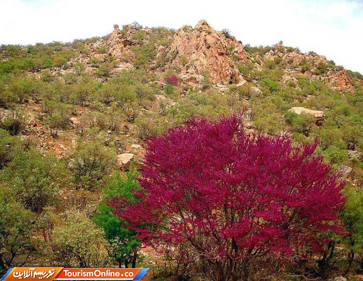 دره یا تنگه ارغوان ایلام