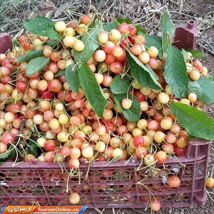 دره مرادبیگ